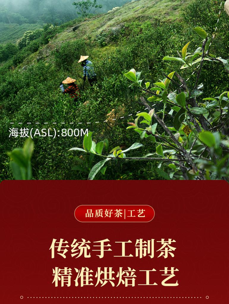 Concentrated honey flavor gold junmei Mount Wuyi black tea authentic tea new tea canned gift 500g