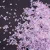 Glass Crushed Stone AB Iridescence