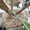 10pcs of Metal Branch Pruners, Tools for Shaping Garden Flowers