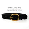 Pin Buckle Suede Leather Belt Luxury Design Wide Waistband Women Waist Belt  Coat Skirt Decoration