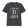 Celebrating  Years Sober Sobriety Anniversary AA Recovery T Shirt  vintage Washed Stretched fashion homme streetwear