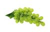 Speed Mao Realistic Muscat Grape Food Sample Model of (Set 2)