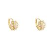 Trendy Korean Design Zircon Snowflake Earings For Women