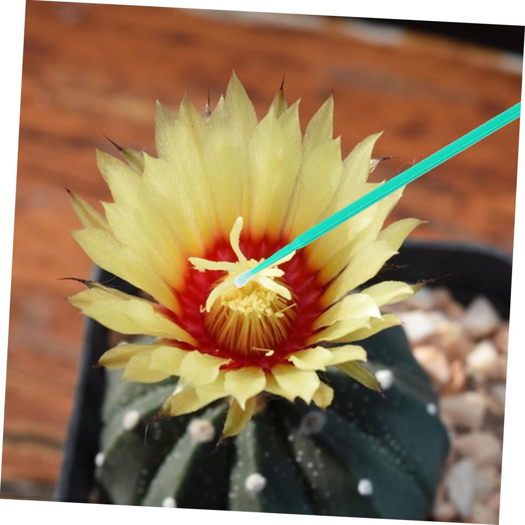SUPVOX 100pcs Plant Pollinator Pens Artificial Pollinators Pollinator Chalk Paint Brushes Pollinator Dusters Pollinator Hand Tools Plant Plastic