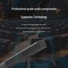 Runpu UHF Wireless Conference Gooseneck Microphone System (CN version)
