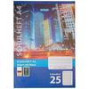 Notebook - STYLEX - 29825-P25 - Pack of 25 - A4 (21 X 29.7 Cm) - 16 Sheets, Lined 25