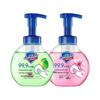 Safeguard Apple & Cherry Blossom Foaming Hand Soap Twin Pack