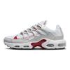 Nike Air Max Terrascape Plus Pure Platinum Gym Red Men Sneakers White DV7513-001