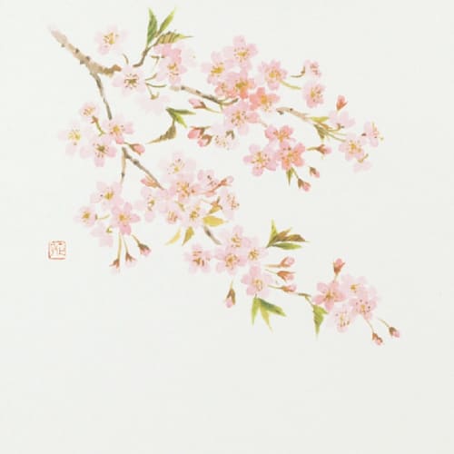 Daikoku Kogyo "Commercial Use" Table Mats, Cherry Blossom Design, 26 X 38 Cm, 100 Sheets, High-Quality Paper