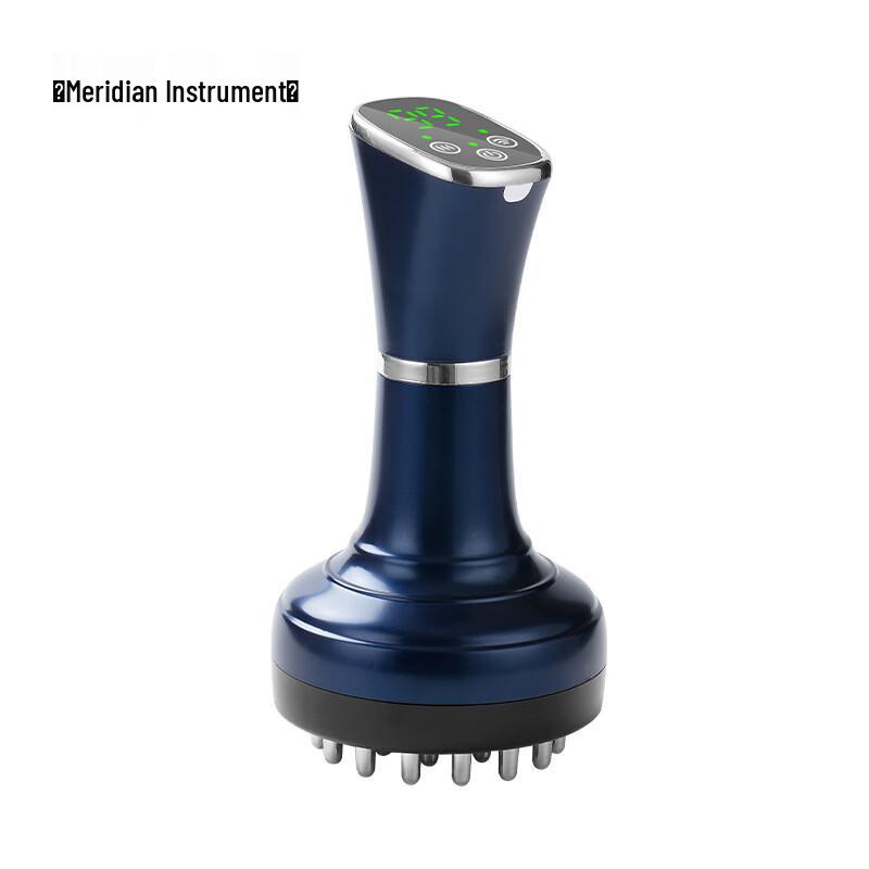 LISM Electric Meridian Massager