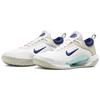 Nike Court Zoom NXT White Deep Royal Blue Men Sneakers Light-Bone Dynamic-Turquoise DH0219-141