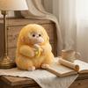 Cute And Adorable Little Monkey Plush Toy,   Children's Comfort Stuffed Animal, Boy's Birthday Gift
