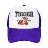 Winnie the Pooh Tigger Síťované kšiltovky Merch pro ženy Muže Nastavitelná baseballová čepice Letní venkovní kšiltovky se síťovanou zadní částí