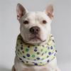 Prevent Heatstroke Big Dog Gel Scarf Summer Pet Ice Scarves for Medium Large Dogs Labrador Husky mascotas Products Accessories
