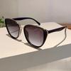 Fashion Cat Eye Sunglasses  New in Vintage Gradient Mirror Outdoor Eyewear Luxury Trendy Brand Design Sexy Women Shades