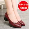 Mom Shoes Single Shoes Soft Sole Women's Spring and Autumn Comfortable Round Head Summer Women's Shoes Medium Heel Middle and Old Casual Leather Shoes