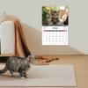Durable Construction Cat Calendar Hanging Loop Monthly Planner  Cat Lovers Gift
