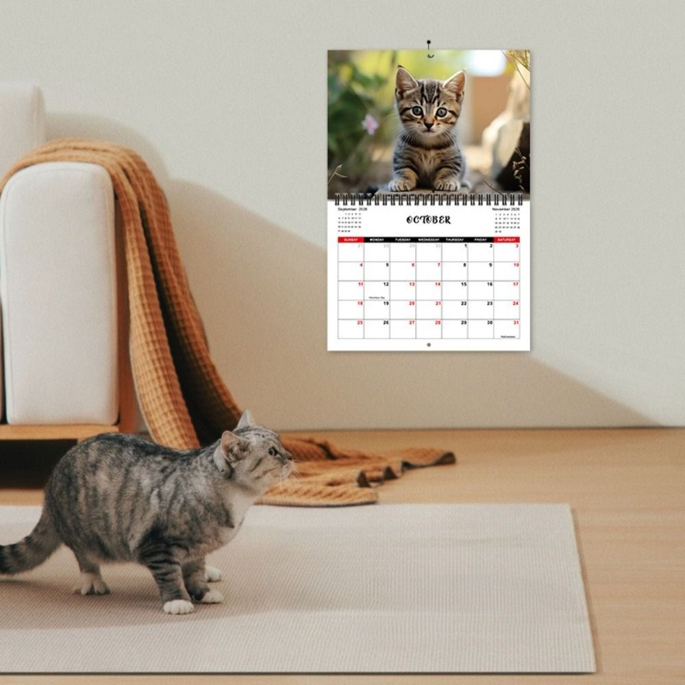 Durable Construction Cat Calendar Hanging Loop Monthly Planner  Cat Lovers Gift