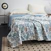Taihuxue Tussah Silk Summer Cooling Quilt