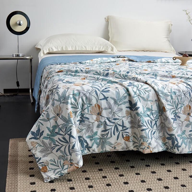 Taihuxue Tussah Silk Summer Cooling Quilt