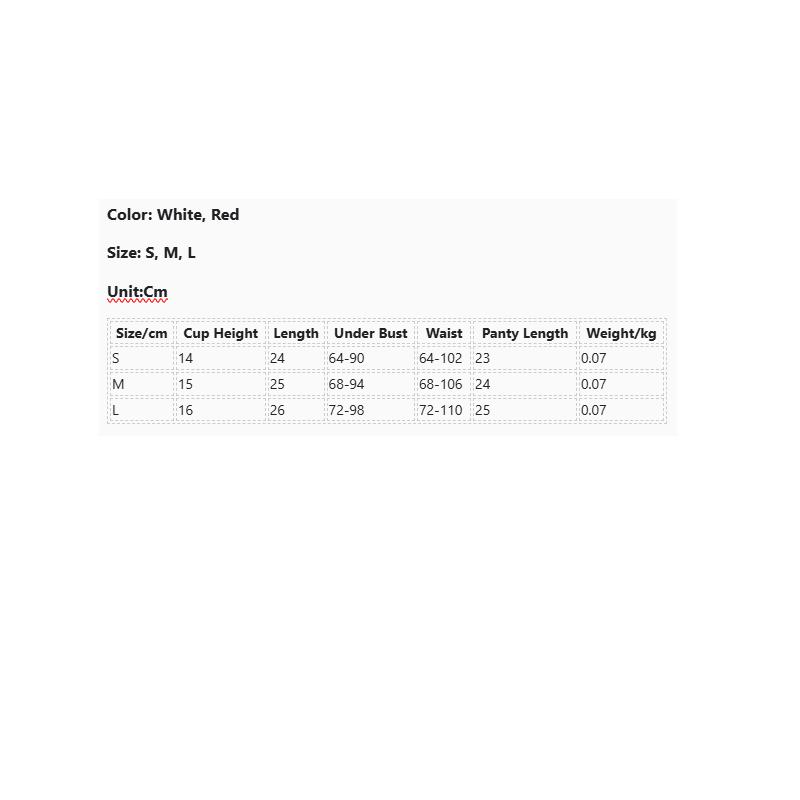 Floral Embroidery Boned Camisole Transparent Temptation Pure Desire Shapewear Lingerie Set Underwear