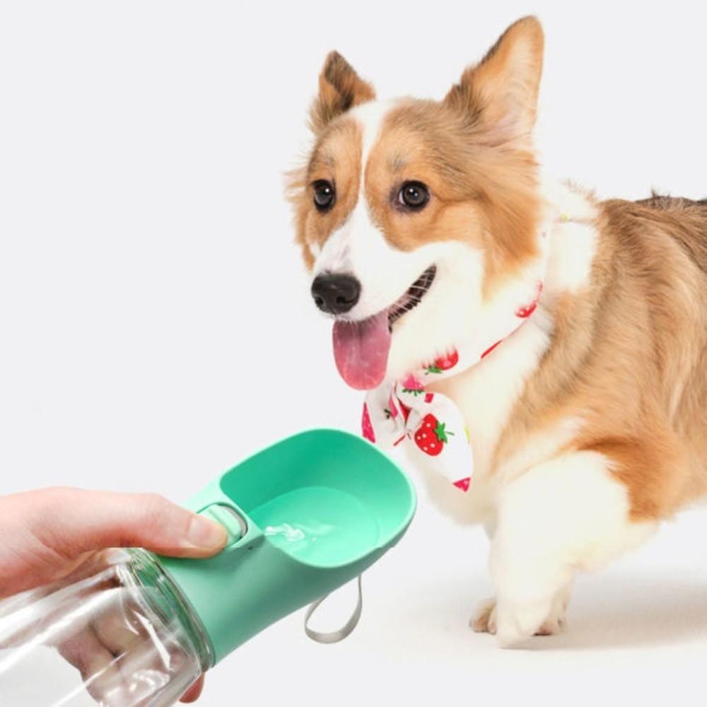 Portable Dog Water Dispenser Plastic Pet Water Feeding Supplies Outdoor Dog Water Bottle Hiking