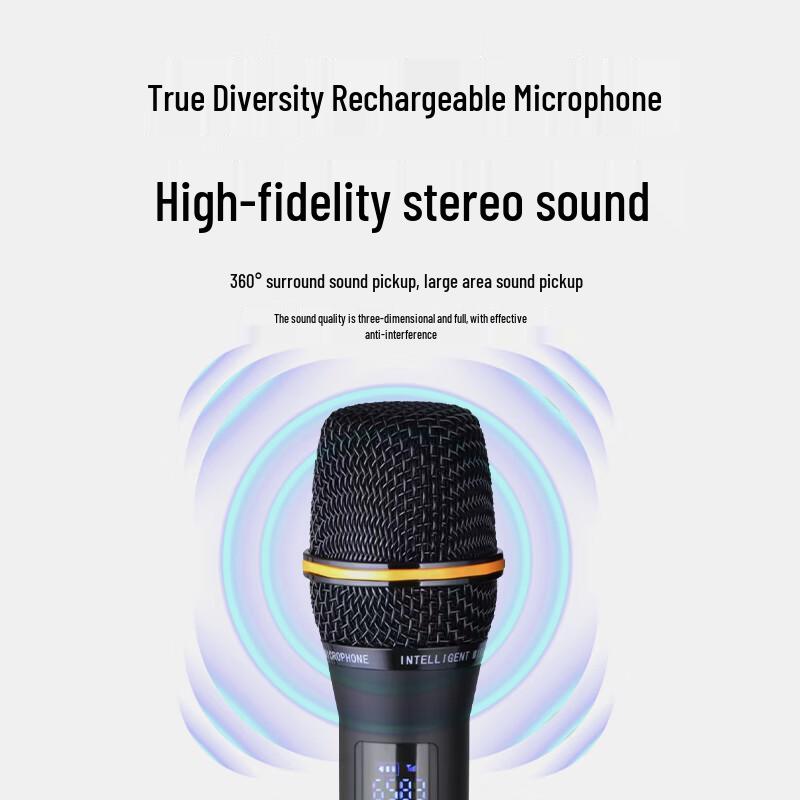 Runpu Professional 12-inch 3-Way Portable PA System (CN version)