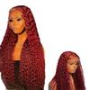 Fashionable Wine Red chemical fiber headgear foreign trade small coiled tube afro long curly wig