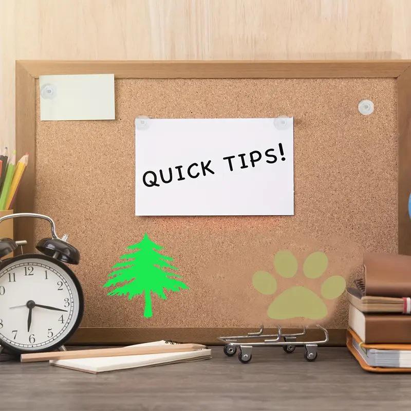 120 Pcs/Box Round Transparent Push Pins for Cork Boards and Document Photo Fixing