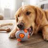 Squeaky Dog Ball Toy for Puppy Teething, Interactive Ball for Dogs and Play