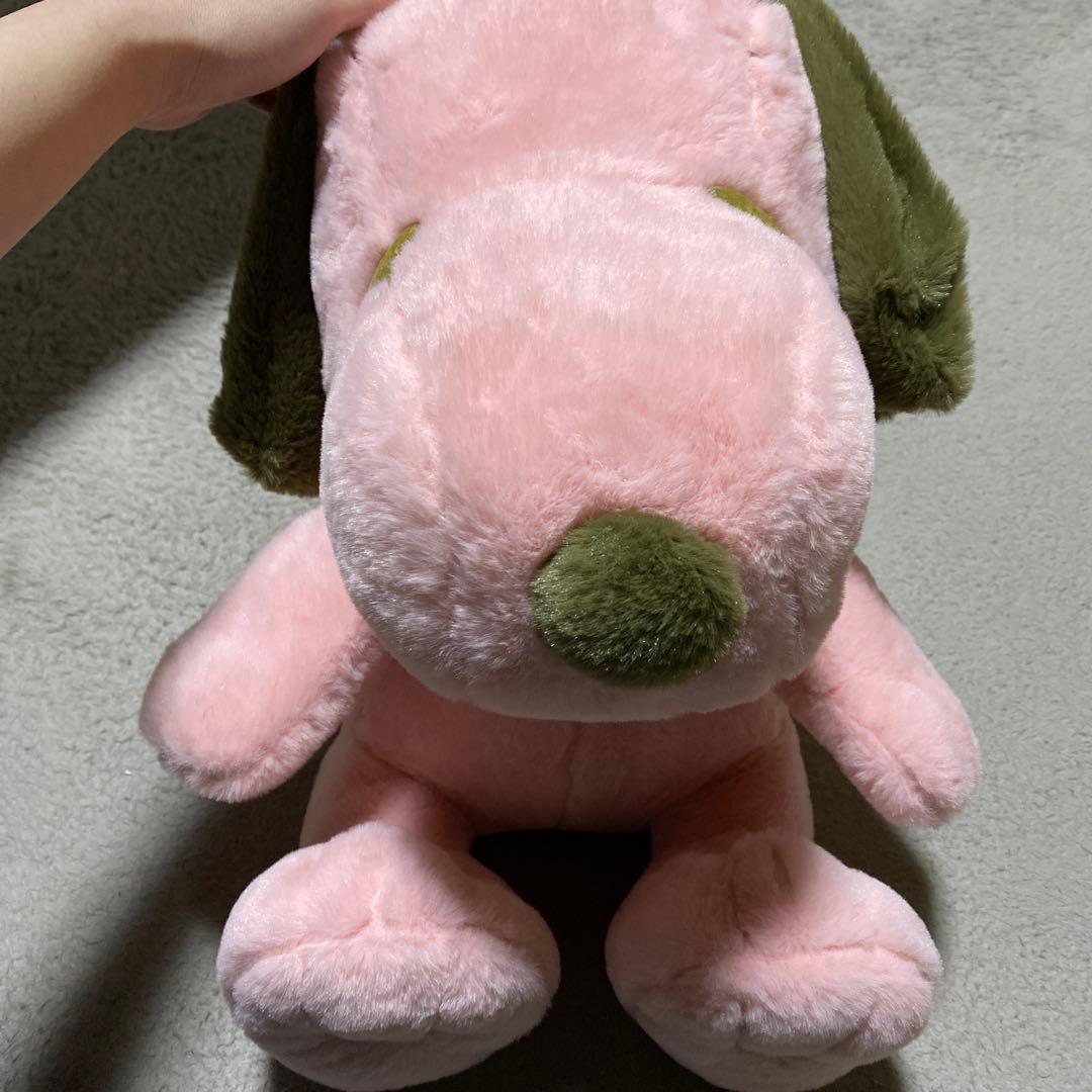 New Snoopy Spring Color