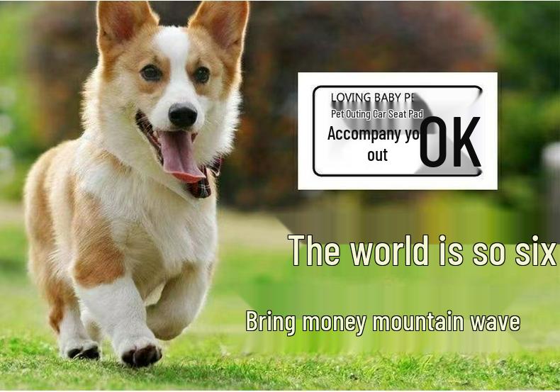 Breathable, Wear-Resistant Car Pet Mat: Skin-Friendly, Dirt & Stain-Proof – Universal Fit for Rear Seats.