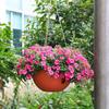 Self-Watering Plastic Hanging Planter