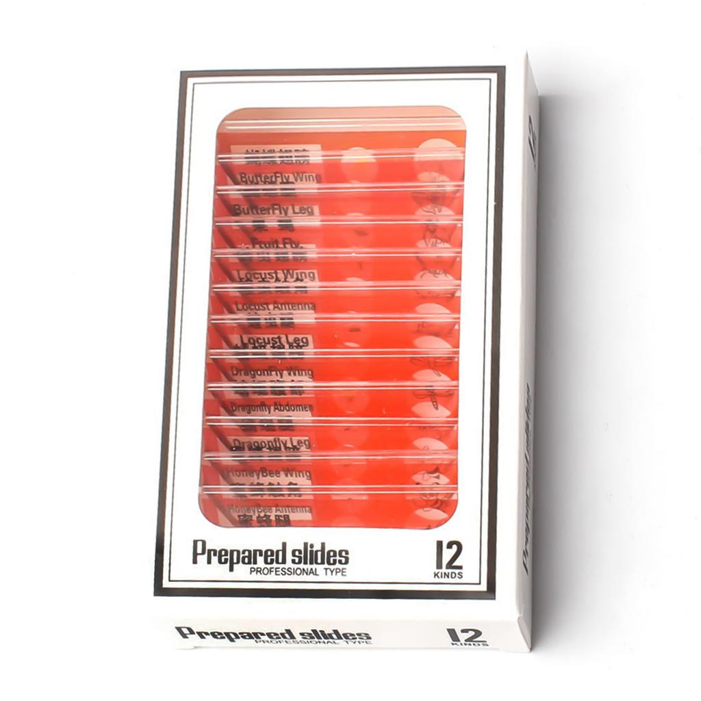 Microscopic Slide Specimens of Mixed Chinese and English, Plants, Animals, Fruits, and Insects