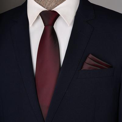 Cravate Zippée Homme Affaires Cravate Mate Cravate Facile à Tirer Nouvelle Cravate Paresseuse Mariage