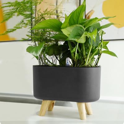 Flowerpot Convenient with Water Level Indicator Exquisite Special Non-easy Broken Flower Pot for Home