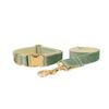 Minzgrünes Plüsch-Hundehalsband & Leinen-Set