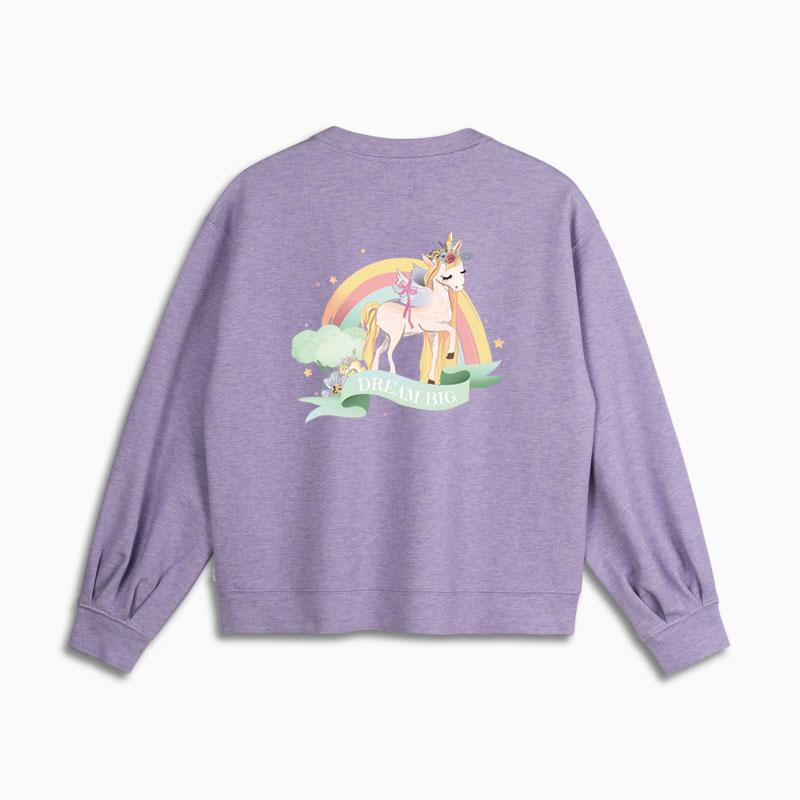 Curcubeu Unicorn Calcat Autocolant Insigna Animal Patch DIY Haine Decor Transfer de Caldura Applique