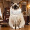 Shakespeare Detachable Neck Ruffled Pet Collar Elegan Chic Cat Collar Vintage Dog Ruff Collar Cosplay