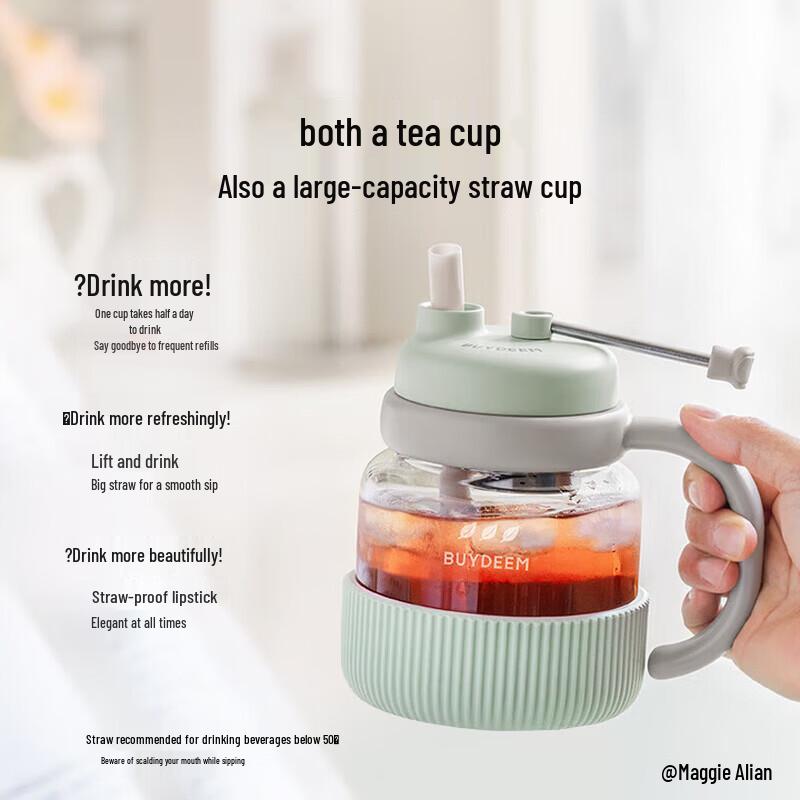 Buydeem Glass Tea Infuser Water Bottle