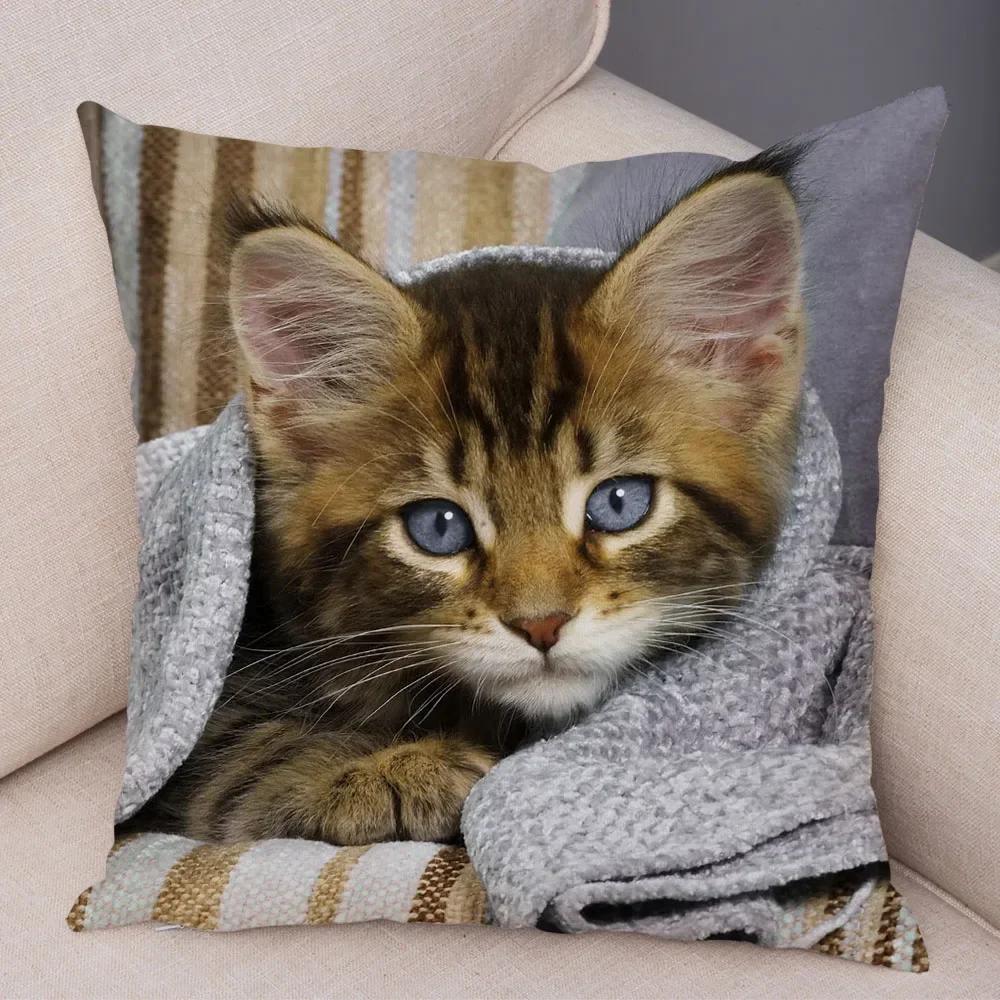 

Смешная милая наволочка с кошкой Декор Прекрасный принт с домашним животным Наволочка Супермягкая плюшевая наволочка для подушки для автомобиля Дивана Дома 45x45см 45x45cm золотой