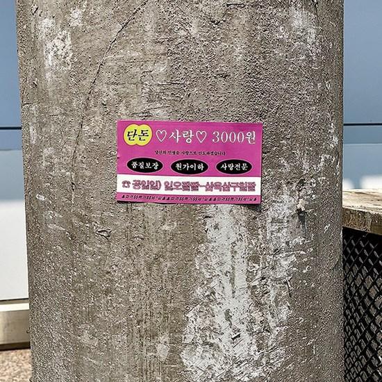 Chirashi 9 Types 45 Sheets Laptop Camping Dakku Travel Sticker Set