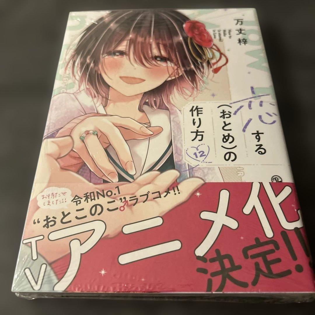 [USED] How to Make a Girl Fall in Love, Volume 12, Gamers Bonus: Bromide