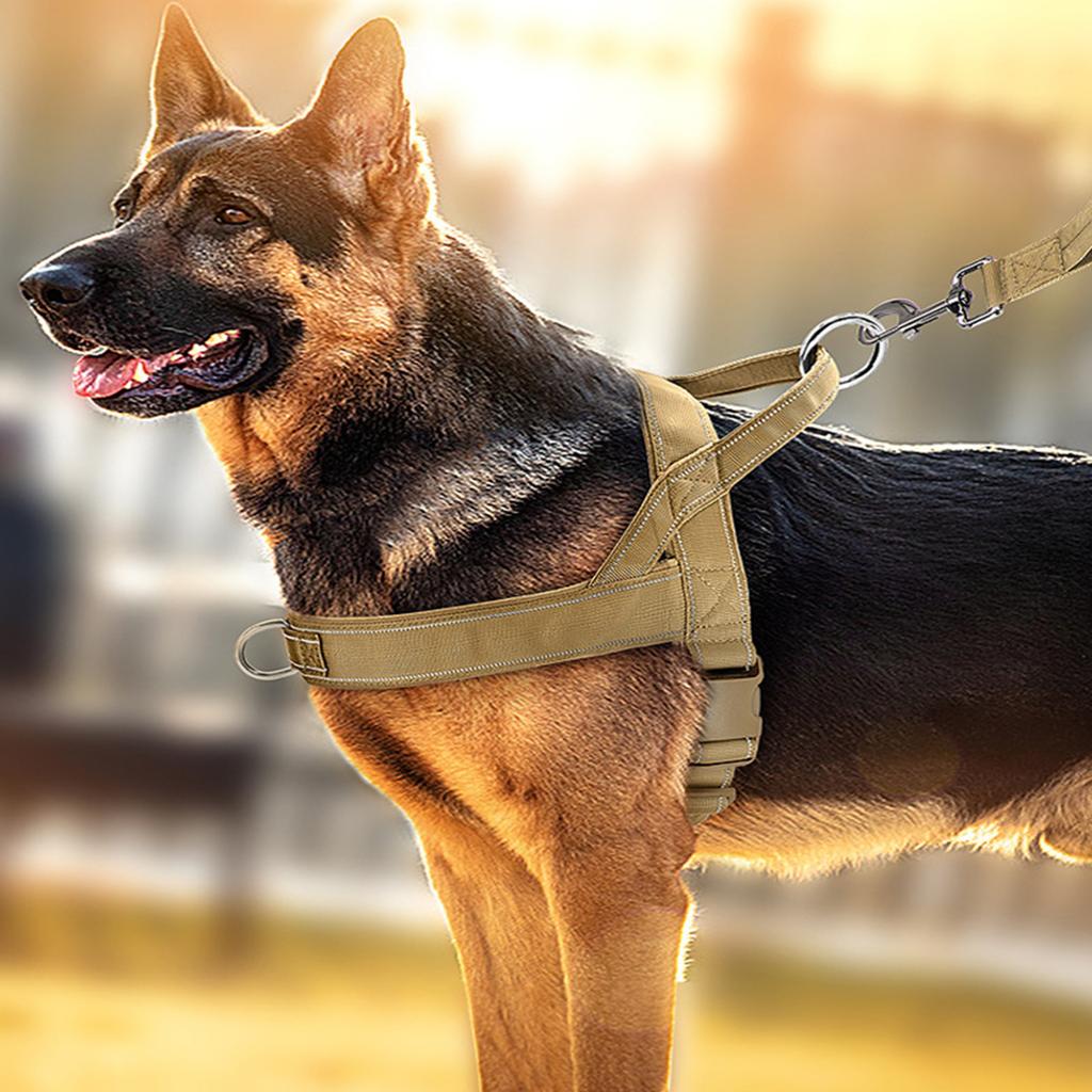 No-Pull Dog for Large Dogs with Leash, Adjustable Vest for Walking and Training