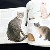[USED] The New Encyclopedia of the Cat