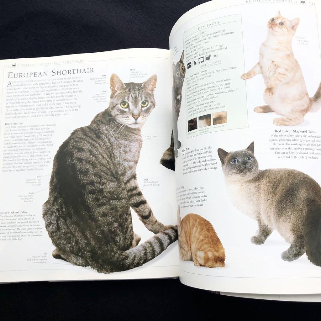 [USED] The New Encyclopedia of the Cat
