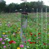 Aluminum Tube Wind Chime: Home Decoration & Gift