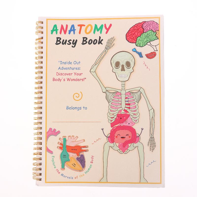 Creative Human Anatomy Busy Book Children'S Fun Learning Picture Album With Illustration Learning Planner