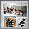 Fitness Equipment Storage, Coral-inspired Dumbbell Rack Stand Desktop Storage Ornaments
