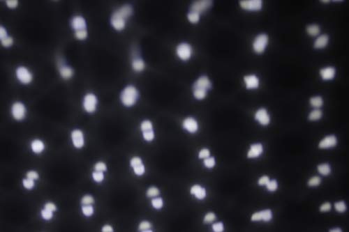 Takasho Low-Voltage GM Projector LGL-PR02, 18cm deep x 22.5cm high x 23cm wide